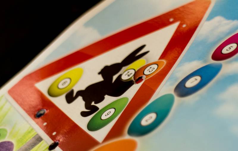 mg_7300.jpg mg_7300.jpg